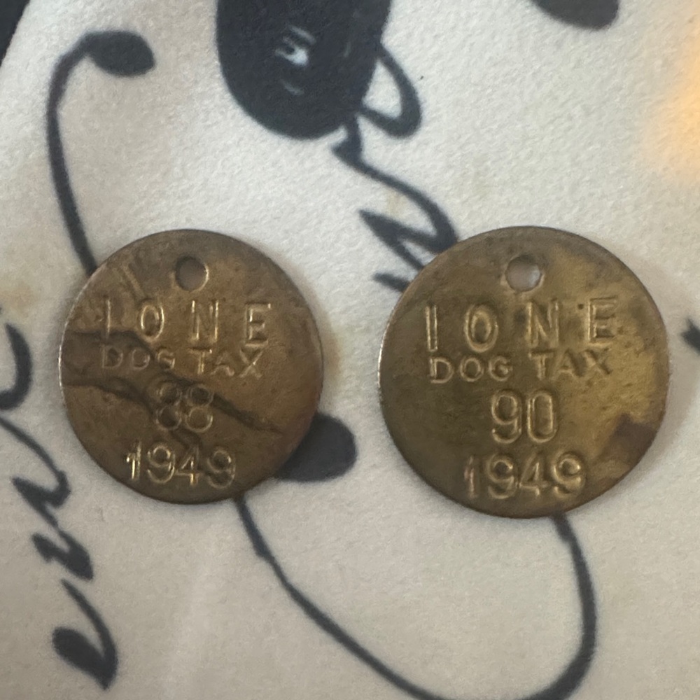Vintage 1949 Brass Dog Tax Tags - Set of 2